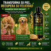Shampoo Dogs Dreams® - elimina la dermatitis formula de avena para aliviar la picazón en la piel, hipoalergénico para pieles sensibles, para perros de todas las edades, desodoriza y sana la dermis de tu mascota