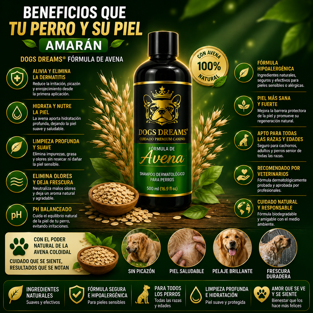 Shampoo Dogs Dreams® - elimina la dermatitis formula de avena para aliviar la picazón en la piel, hipoalergénico para pieles sensibles, para perros de todas las edades, desodoriza y sana la dermis de tu mascota