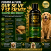 Shampoo Dogs Dreams® - elimina la dermatitis formula de avena para aliviar la picazón en la piel, hipoalergénico para pieles sensibles, para perros de todas las edades, desodoriza y sana la dermis de tu mascota