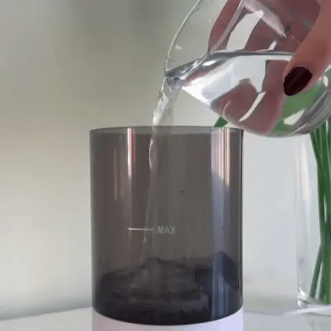 LavaBrochas Pro Combo