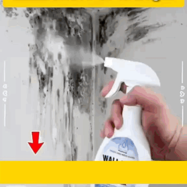 Cleanox Spray Antimoho Rápido Seguro