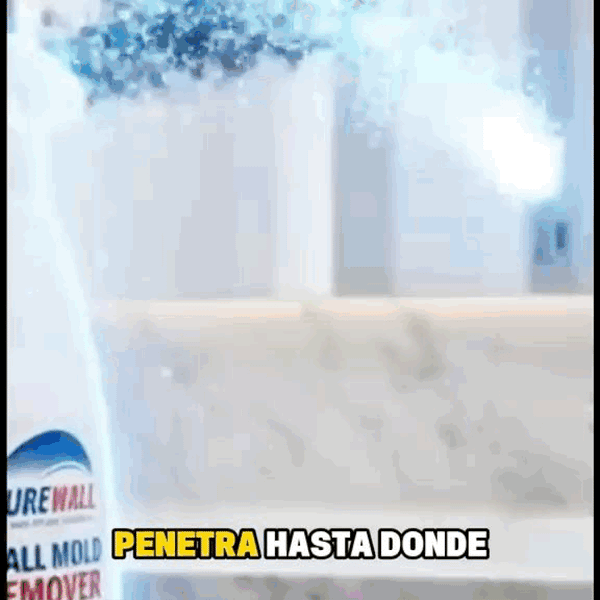 Cleanox Spray Antimoho Rápido Seguro