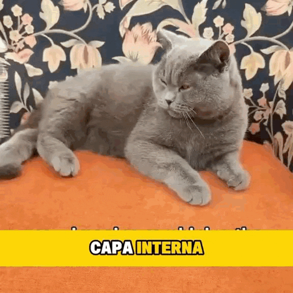 Peine Pro para Mascotas sin Enredos