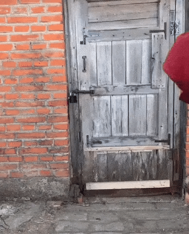 Candado Alarma Segura