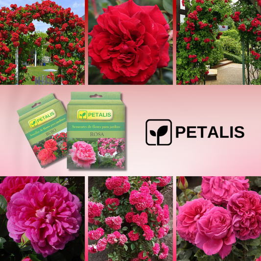 Semillas de flores Petalis para jardín