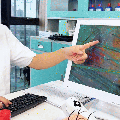 Shampoo Anticaspa Nippori Control Aceite